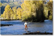 Denali Guided Fly Fishing
